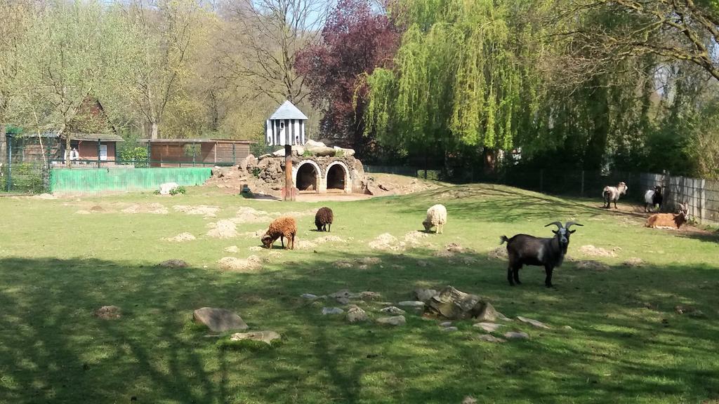 Hotel Zur Post Kleve Kleve  Luaran gambar